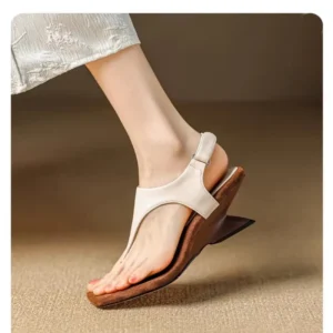 By Comfort & Trend